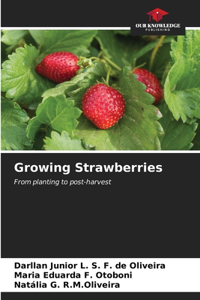 Growing Strawberries