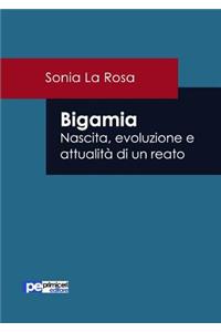 Bigamia. Nascita, evoluzione e attualità di un reato