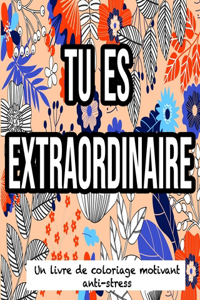 Tu Es Extraordinaire: Un Livre De Coloriage Motivant Anti-Stress: Cahier De Coloriage Pour Adultes