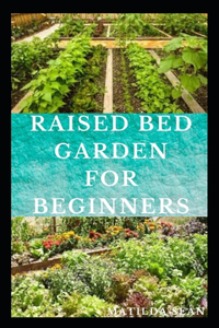 Raised Bed Garden for Beginners