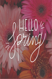 Hello Spring