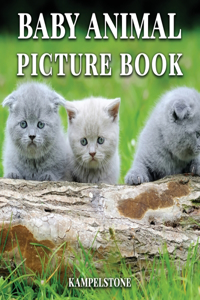 Baby Animal Picture Book