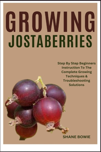 Growing Jostaberries