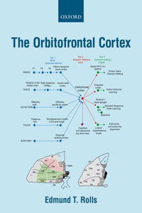 Orbitofrontal Cortex