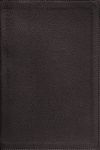 Nasb, Personal Size Bible, Large Print, Genuine Leather, Calfskin, Black, Red Letter, 1995 Text, Thumb Indexed, Comfort Print