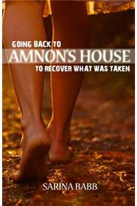 Going Back to Amnon's House