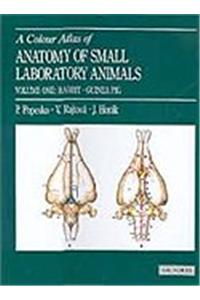 Colour Atlas of Anatomy of Small Laboratory Animals: Volume 1