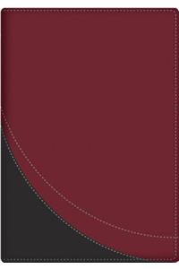 La Biblia en Orden Cronologico-Rvr 1960