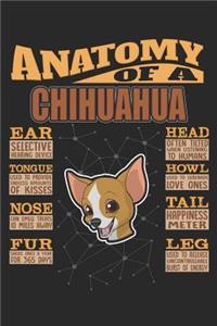 Anatomy Of A Chihuahua