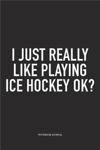I Just Really Like Playing Ice Hockey Ok?
