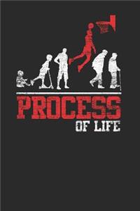 Process Of Life