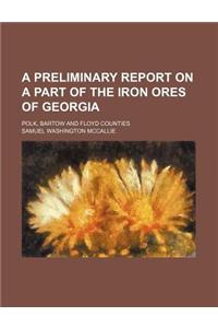 A Preliminary Report on a Part of the Iron Ores of Georgia; Polk, Bartow and Floyd Counties