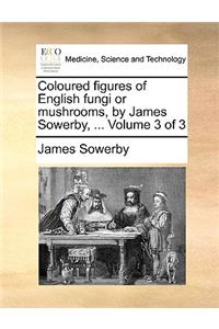 Coloured Figures of English Fungi or Mushrooms, by James Sowerby, ... Volume 3 of 3