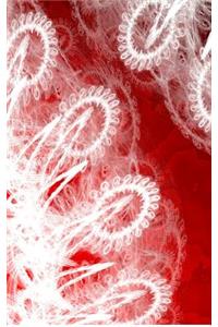 LETTERS TO MYSELF JOURNAL - White Lace on Red Metal