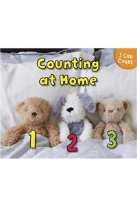 Counting at Home
