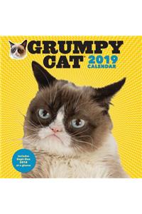 Grumpy Cat 2019 Wall Calendar