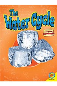 The Water Cycle