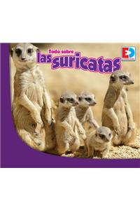 Todo Sobre Las Suricatas
