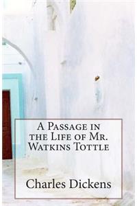 Passage in the Life of Mr. Watkins Tottle