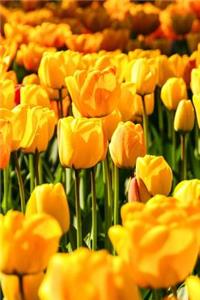 Springtime Yellow Tulips Journal