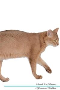 Somali Cat Affirmations Workbook Somali Cat Presents