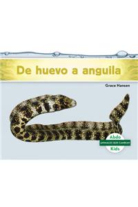 De Huevo a Anguila / Becoming an Eel
