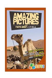 Amazing Pictures and Facts about Camels: The Most Amazing Fact Book for Kids about Colosseum