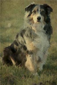 Australian Shepherd: Renaissance Dogs: Journal/Notebook/Diary