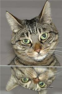 Journal Pages - Wonder Cat