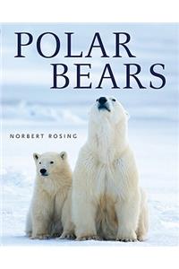 Polar Bears