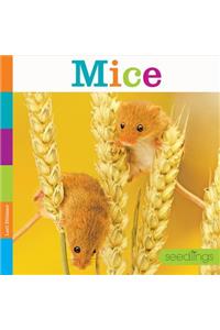Mice