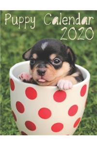 I Love Puppies 2020 Calendar