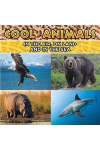 Cool Animals