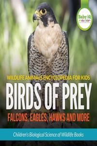 Wildlife Animals Encyclopedia for Kids - Birds of Prey (Falcon, Eagle, Hawks and More) - Children's Biological Science of Wildlife Books