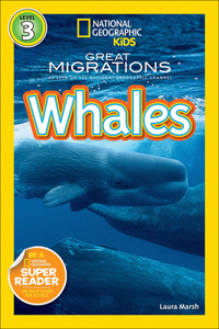 Great Migration Whales