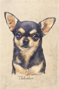 Chihuahua - Smooth Coat Dog Portrait Notebook