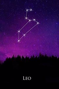2020 Daily Planner Leo Constellation Night Sky Astrology Symbol 388 Pages
