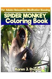 SPIDER MONKEY Coloring book for Adults Relaxation Meditation Blessing