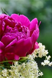 Peony Notebook