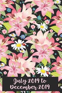 July 2019-December 2019