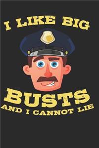 I Like Big Busts and I Cannot Lie