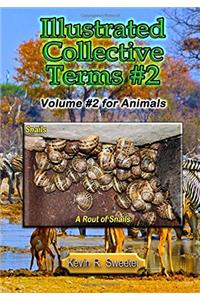 Illustrated Collective Terms #2