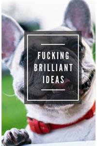 Fucking Brilliant Ideas (Notebook)
