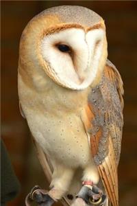 A Beautiful British Barn Owl Perched Journal