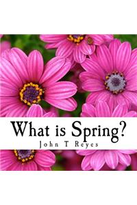 What is Spring?