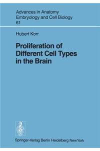 Proliferation of Different Cell Types in the Brain