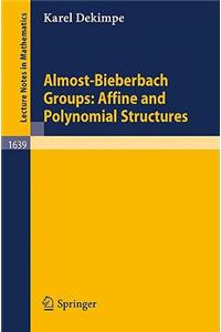 Almost-Bieberbach Groups: Affine and Polynomial Structures