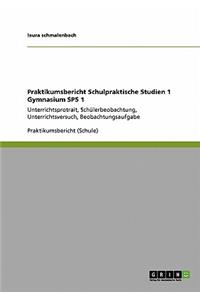 Praktikumsbericht Schulpraktische Studien 1 Gymnasium SPS 1