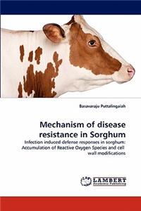 Mechanism of disease resistance in Sorghum