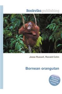 Bornean Orangutan